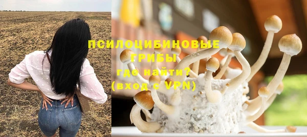 дурь Карпинск