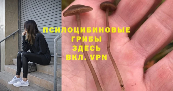 дурь Карпинск