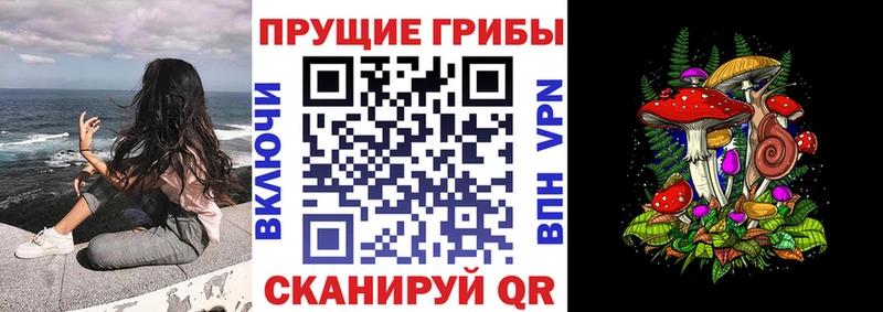 Псилоцибиновые грибы MAGIC MUSHROOMS  Купить закладки  Жигулёвск 